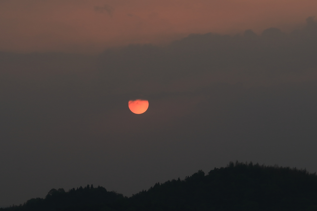 瀬戸内の朝 190421-056