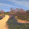 【花めぐり】 世羅高原農場(2) 190409-039