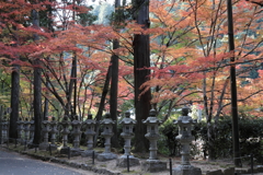 佛通寺(5) 181106-030