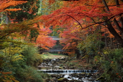 佛通寺(2) 16.11.18