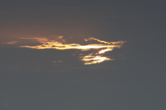 黄金の？　15.07.09