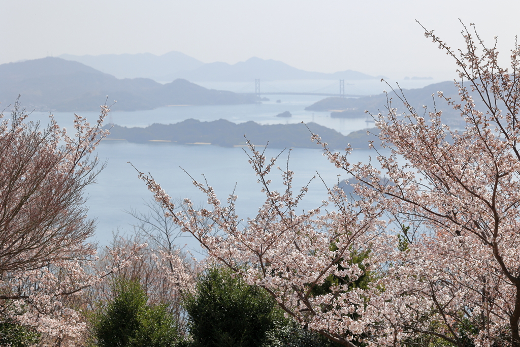 瀬戸内海を山頂から 230328-3113