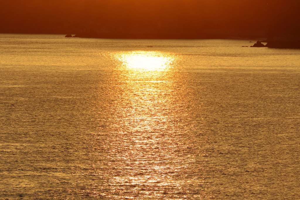 台風通過後の朝(3) 170807-3-1
