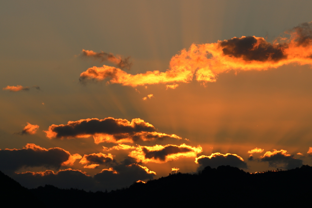 夜明け (1) 15.12.05