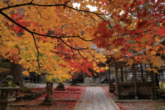 今高野山龍華寺 (12) 251121-240