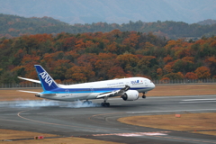 ANA 到着(2) 191127-904 191127