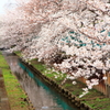 MANKAI