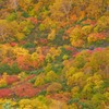 _DSC0149-3秋錦