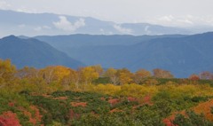 _DSC0314-3