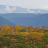 _DSC0314-3
