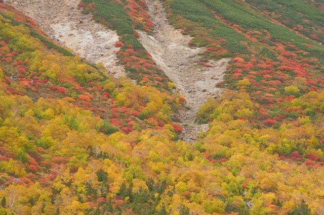_DSC0380-1