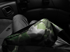 SONY_0611
