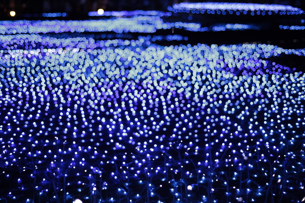 光の海