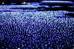光の海