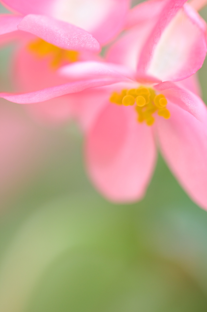 やさしさに