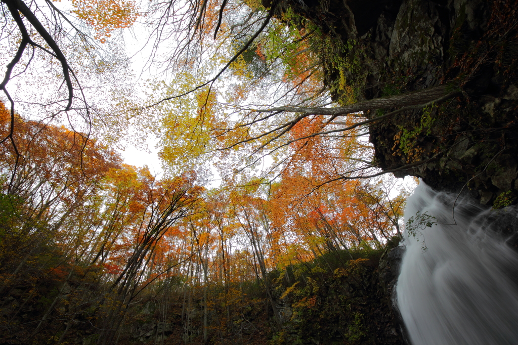 fall