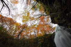 fall