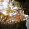 fall