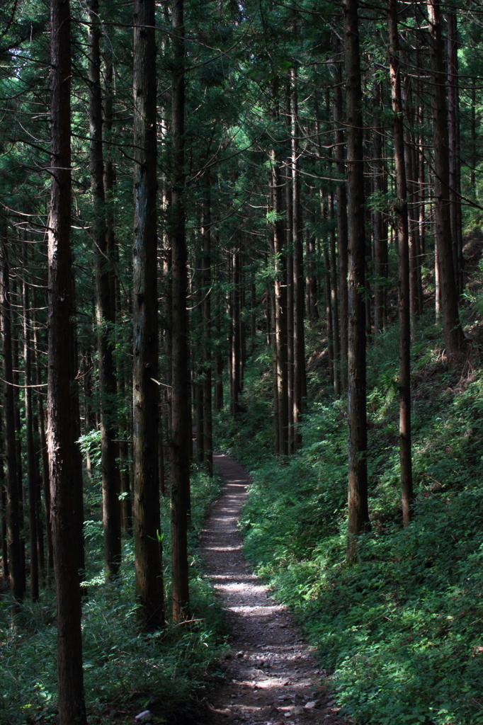 林道