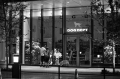 Midnight Dog-Dept