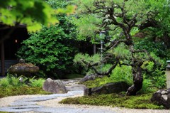 日本庭園