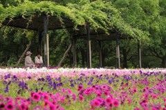 ささやかな女子会