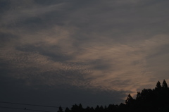 001 今朝の一枚