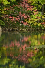 曲沢沼で