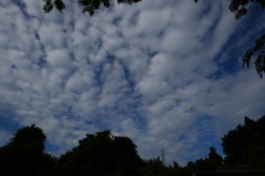 青空