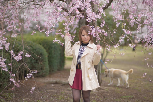 満開の桜の下で