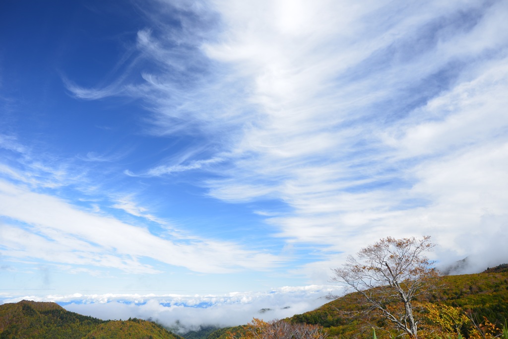 秋の空
