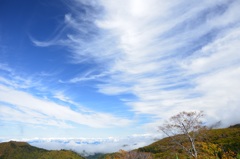 秋の空
