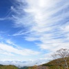 秋の空