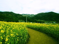 P5042466