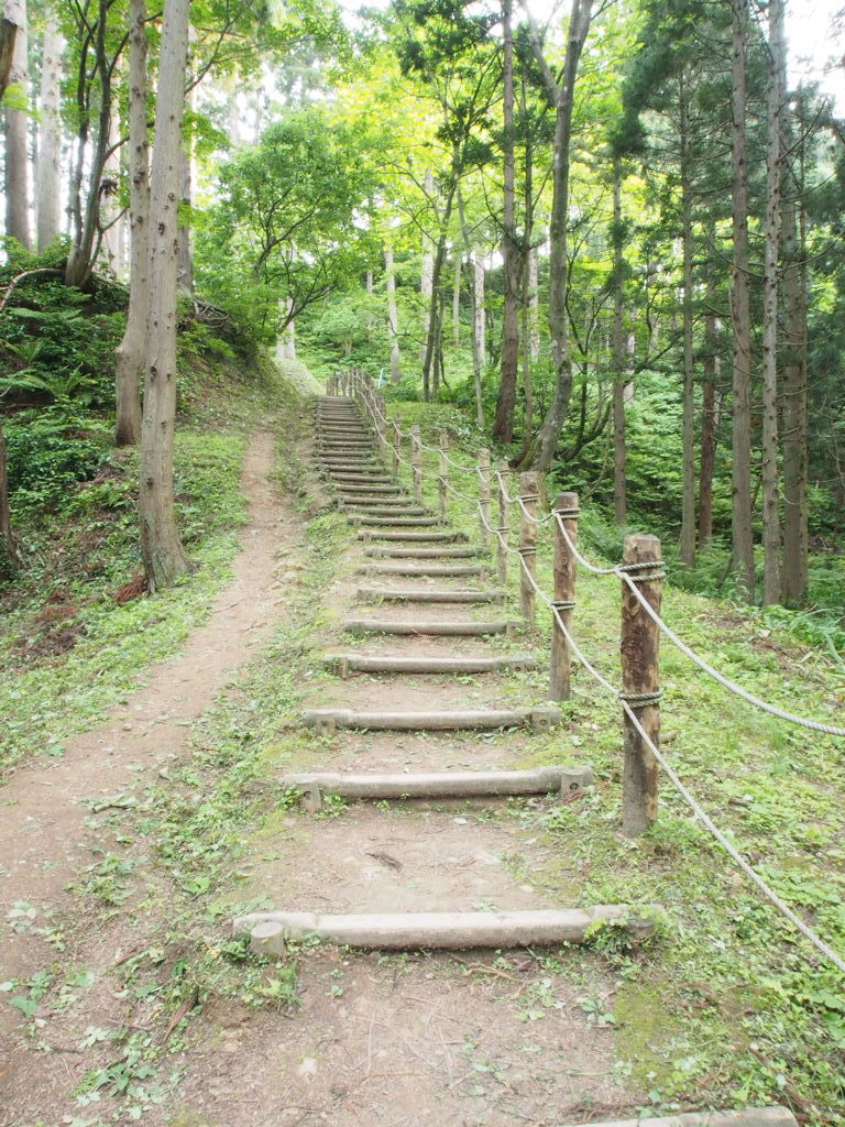 P6030226
