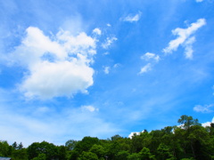 P7160566