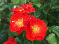 P6170380