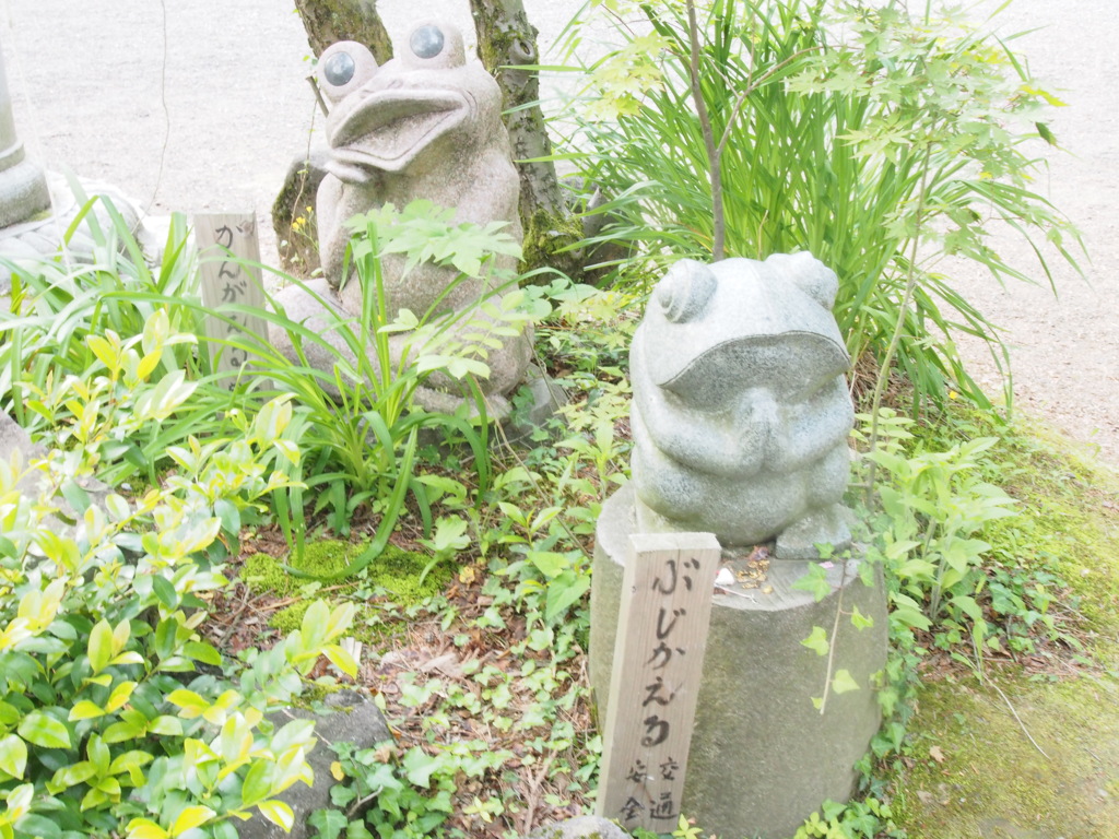 P6030220