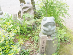 P6030220