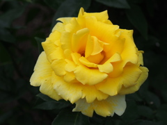P6170287