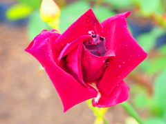 P6170321