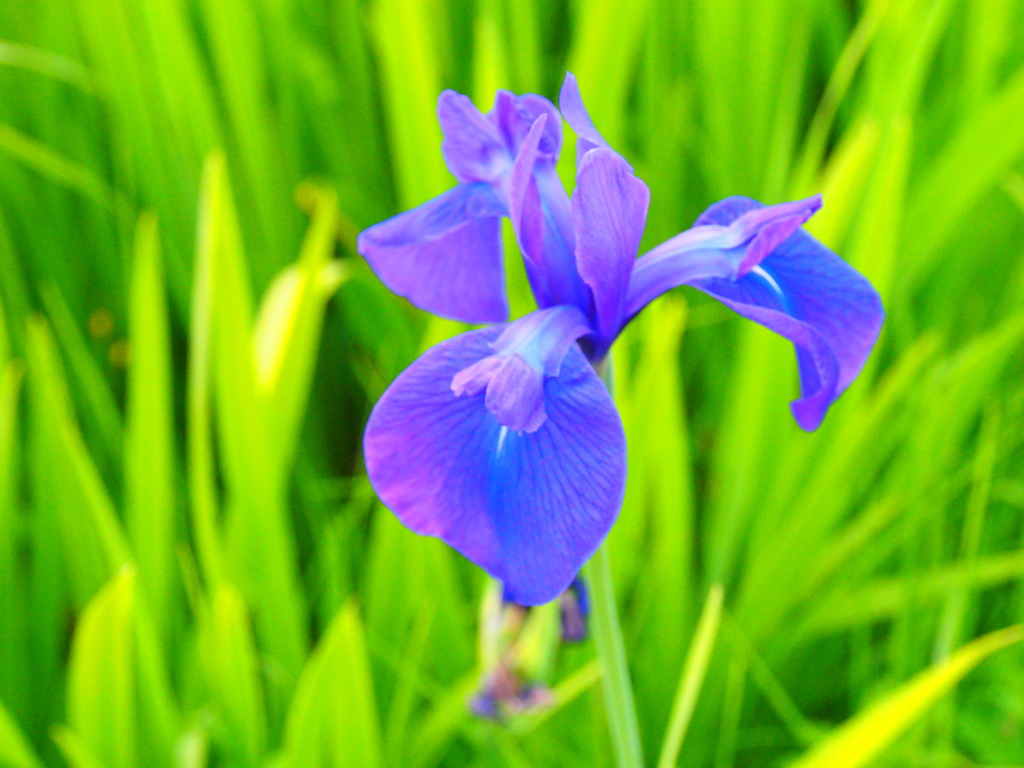 P6030255