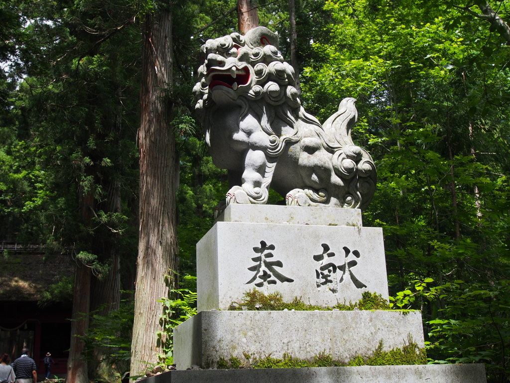 P7160504