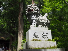 P7160504