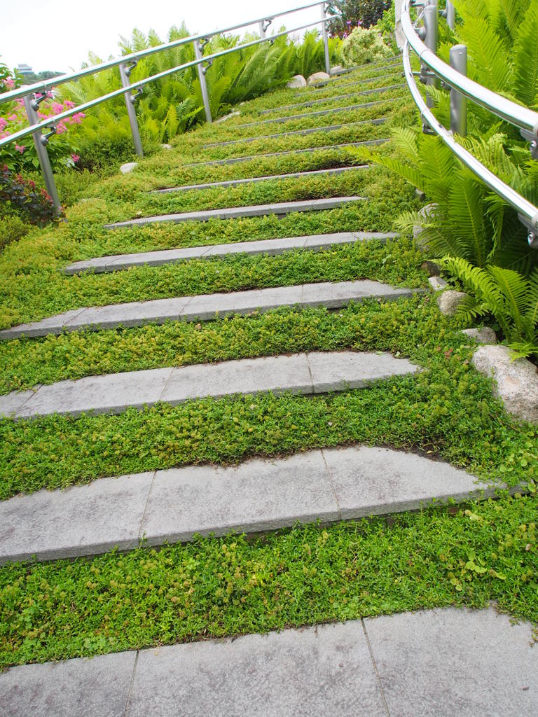 P6170377