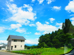 P7160591