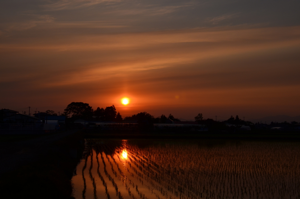 夕暮れ