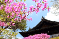 日光へ行こう