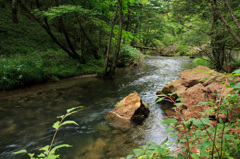 湯川3