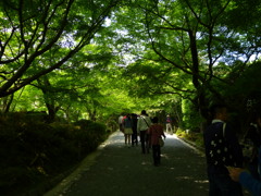 新緑参拝道